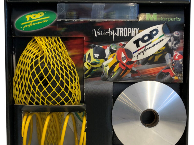 Variateur met V-snaar Typhoon / MC2 / Piaggio ZIP NRG / NTT rollen 16 x 13