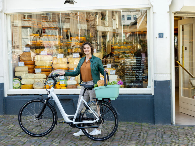 Gerecyclede (honden)fietsmand New Looxs Clipper 28 liter - 49 x 37 x 29 cm - groen