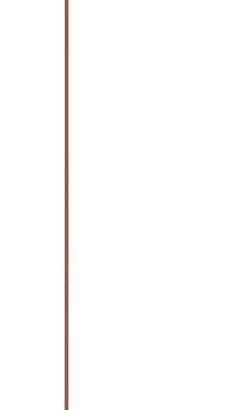 Fietsvlag IceToolz 24051G0 met fiberglas stang 150 cm - oranje