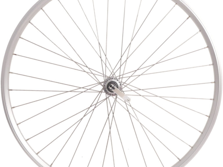 Achterwiel Rodi 28 inch / 622x19 - Skorpion - 36 gaats FM32 - 8/9 speed naaf + QR - zilver