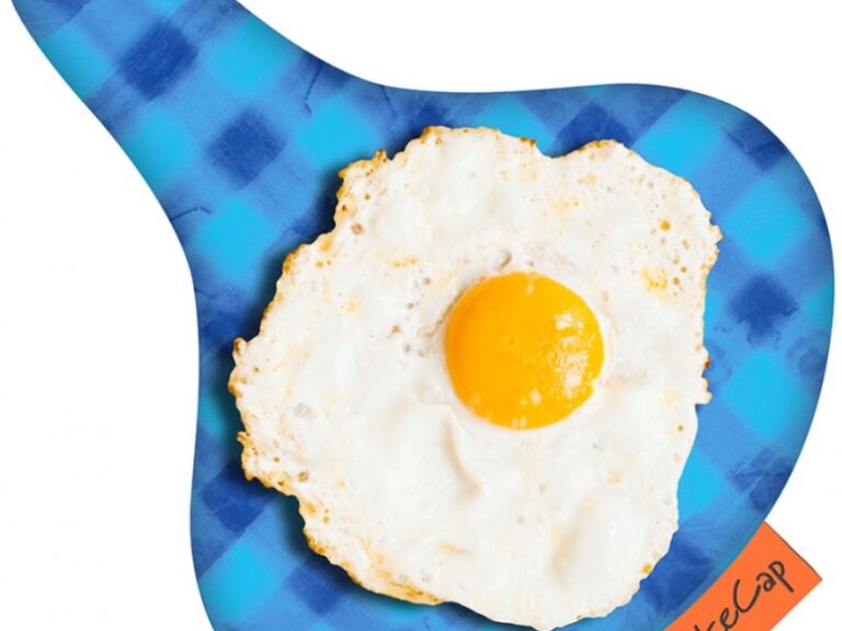 Zadeldek BikeCap Sunny Side Up!