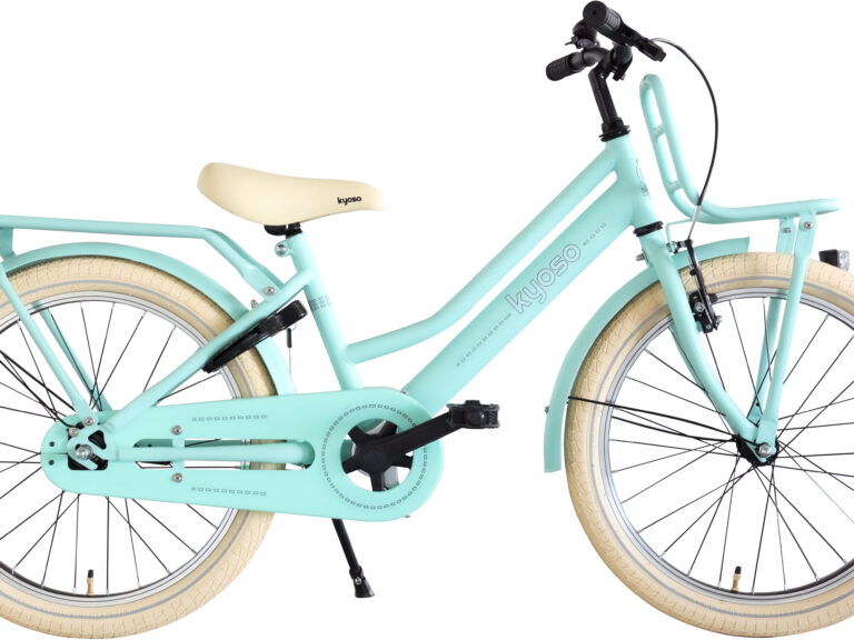 Kinderfiets Kyoso Blossom Breeze 20 inch met remnaaf - mat mintgroen
