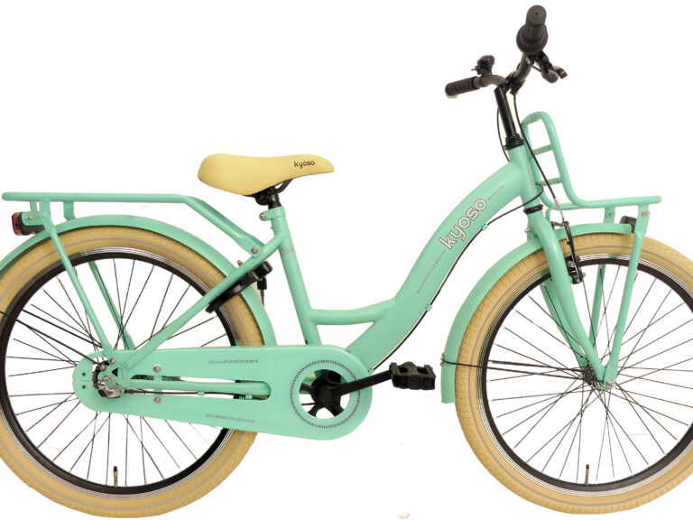 Kinderfiets Kyoso Blossom Breeze 24 inch Nexus-3 met remnaaf - mat mintgroen