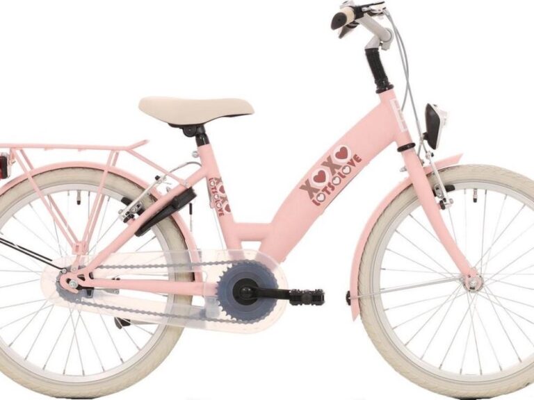Kinderfiets Bikefun Lots of Love 20 inch met Remnaaf - Roze