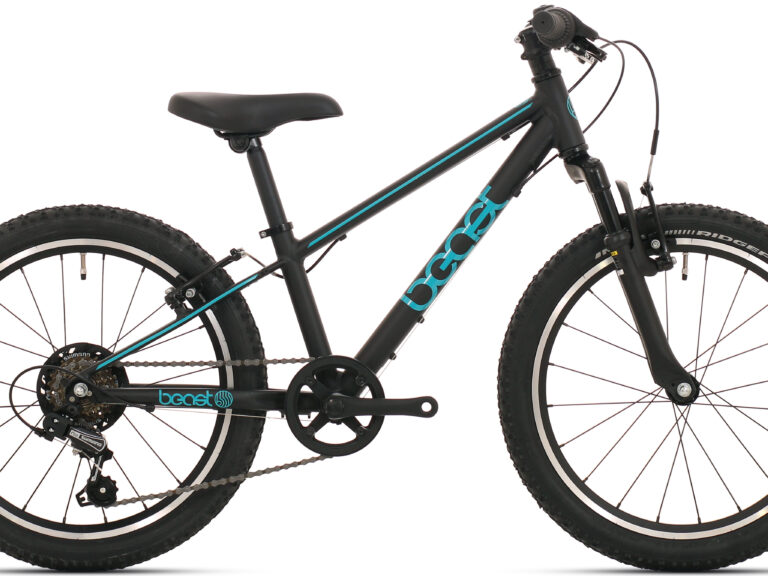 Bikefun 20" The Beast V-Brake 6 speed - zwart/groen