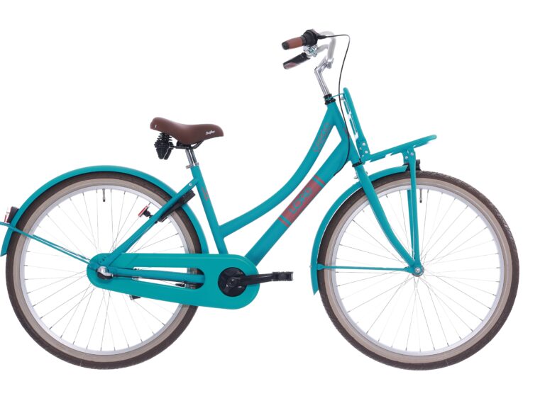 Kinderfiets Bikefun Load 26 inch met Nexus 3 versnelling/remnaaf - Mat Greeny