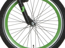 Alpina wiel groen