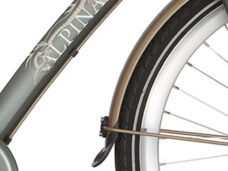 Alpina spatbord goud mat