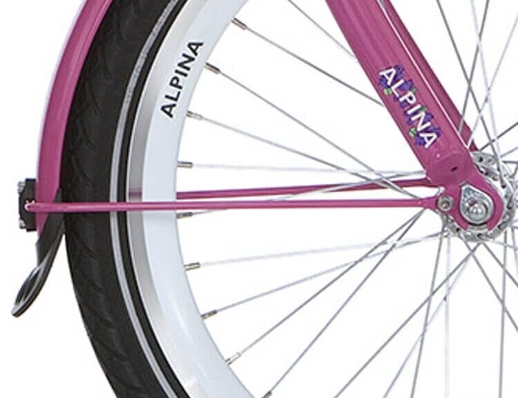 Alpina spatbord roze