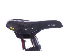Alpina zadel