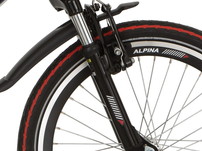 Alpina voorvork zwart