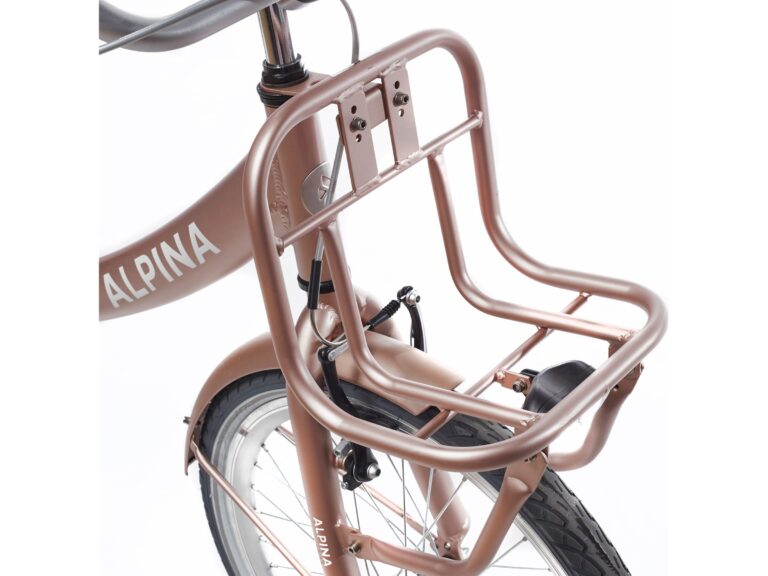 Alpina bagagedrager goud mat