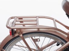 Alpina bagagedrager goud mat