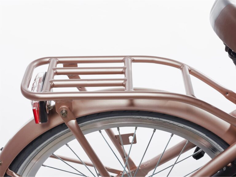 Alpina bagagedrager goud mat