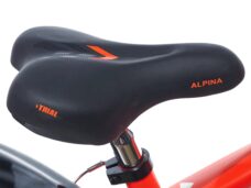 Alpina zadel
