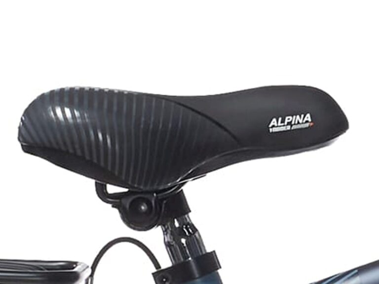 Alpina zadel