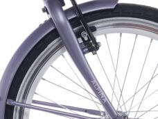 Alpina voorvork paars mat