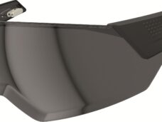 Abus vizier
