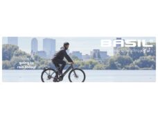 Basil