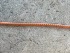 oranje