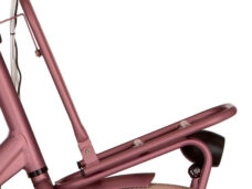 Cortina bagagedrager zilver mat