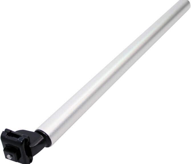 Dahon zadelpen zilver