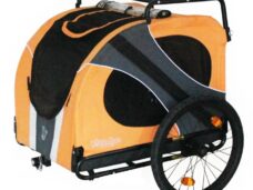 DoggyRide oranje