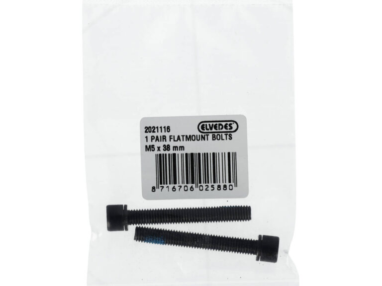 Elvedes 1 paar flatmount bouten M5 × 38 mm