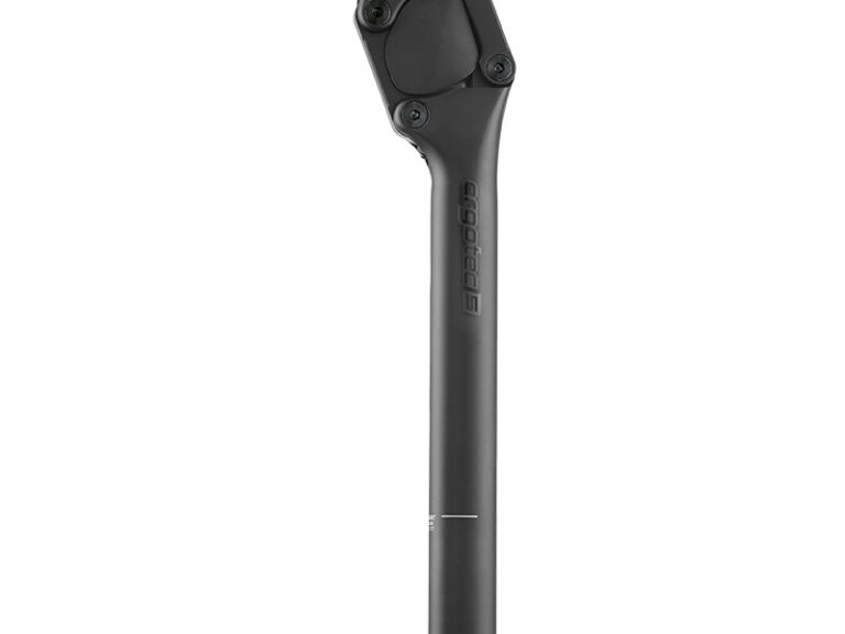 Ergotec zadelpen zwart