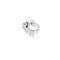 zilver