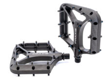 Praxis pedalen Brodium G2 zwart
