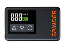 Spinder zwart