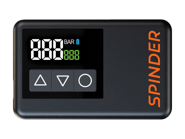 Spinder zwart