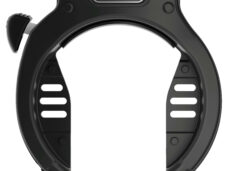 Abus ringslot