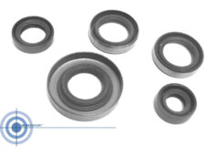 Oliekeerringset voor Sachs KS80 LC motorblok 314 en 317