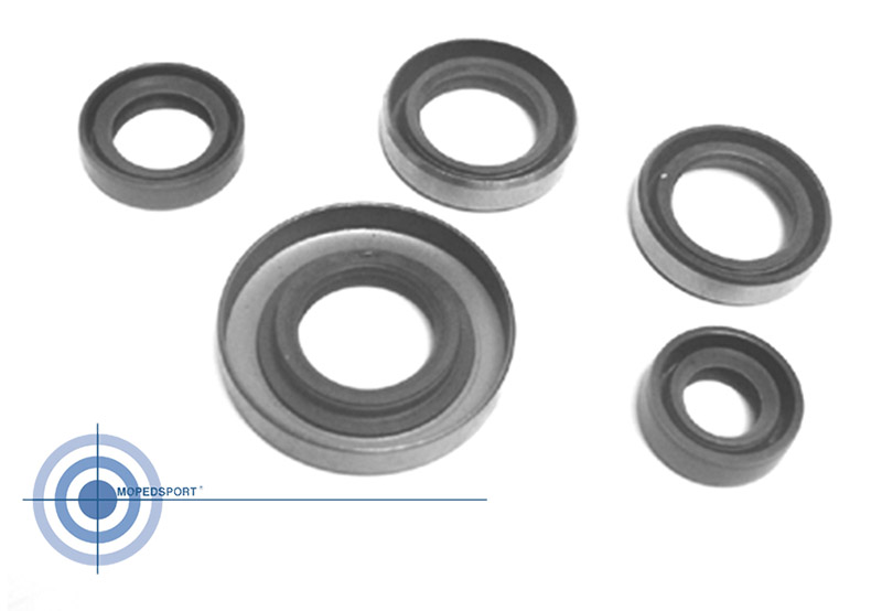 Oliekeerringset voor Sachs KS80 LC motorblok 314 en 317