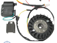 Bromfiets Sachs Kreidler Ontsteking Geforceerde Koeling 12v 50cc Kok
