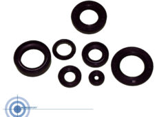 Yamaha Fs1/dx Oliekeerringset Fs1/dx Voor Roterende Inlaat Met Oliepomp 1k3-00000--60
