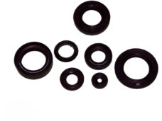 Yamaha Fs1/dx Oliekeerringset Fs1/dx Voor Roterende Inlaat Met Oliepomp 1k3-00000--60