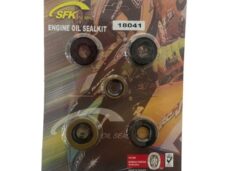Oliekeerringset voor Sachs 504 en 505 motor Hercules Prima