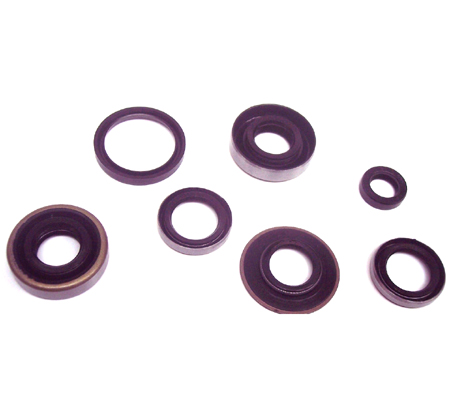 SACHS 50/2 50/3 Oliekeerringset 2 versnellingen + 3 versnellingen keerring