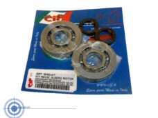 CIF krukaslagerset NTN Viton voor Piaggio Gilera 125-180cc 2-takt