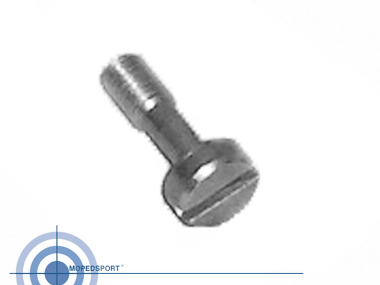 BING/KREIDLER Spanschroef 1-10-77 10MM CARBURATEUR