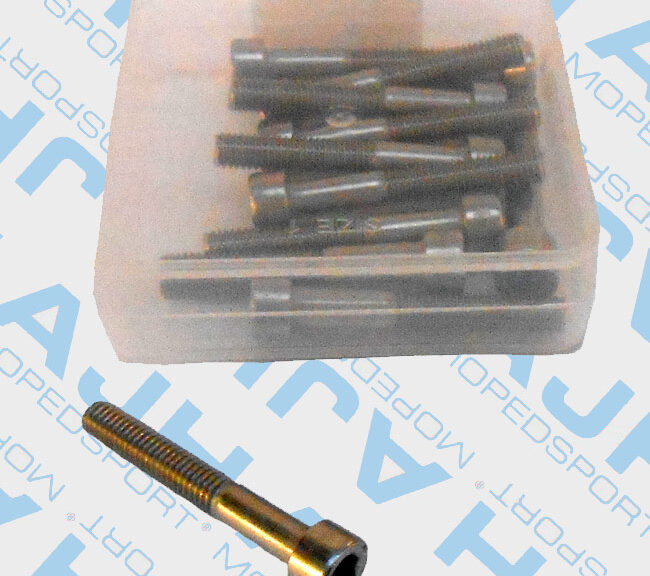 RVS inbusbouten M6x40 DIN 912 set van 12 stuks