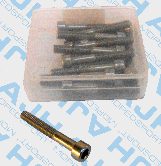 RVS inbusbouten M6x40 DIN 912 set van 12 stuks
