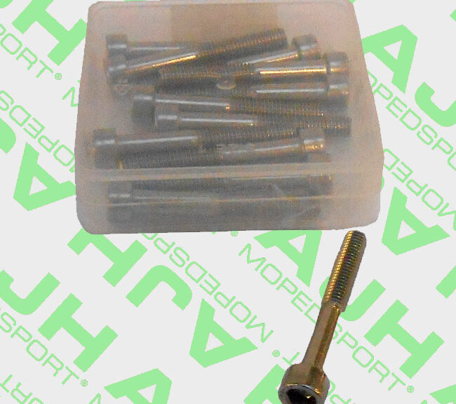 Set van 12 RVS inbusbouten M6 x 45 mm DIN 912