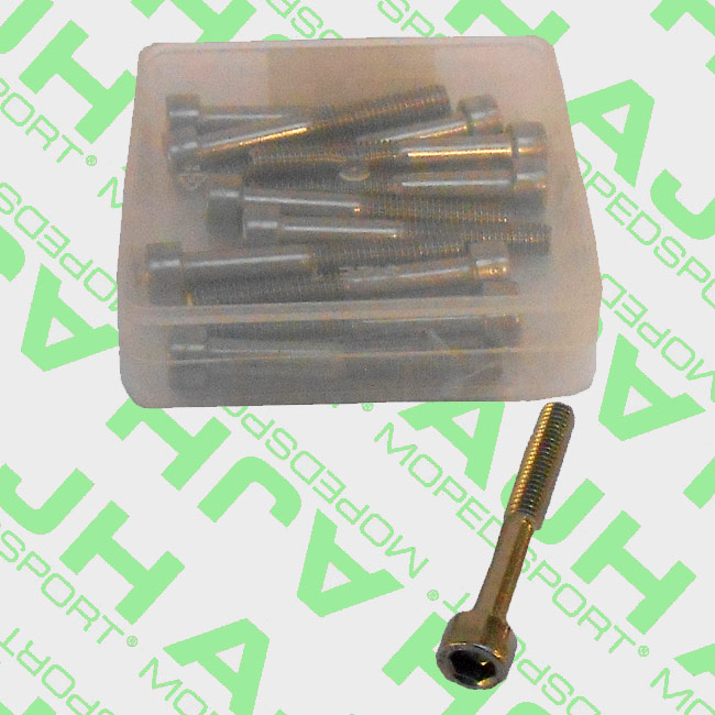 Set van 12 RVS inbusbouten M6 x 45 mm DIN 912