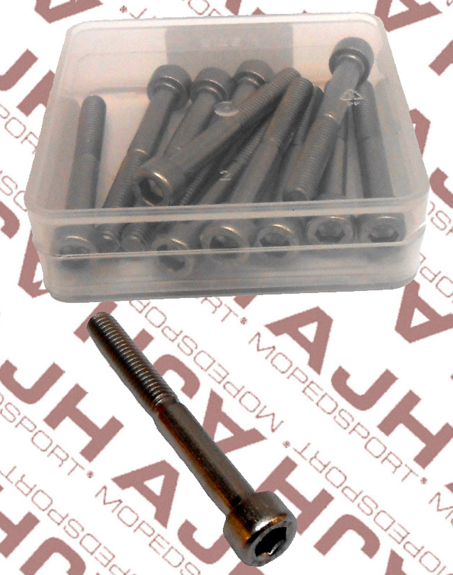 Set van 12 RVS inbusbouten M6 x 50mm DIN 912 A2