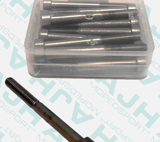 Inbusbouten M6 x 60mm RVS A2 DIN 912 set van 12 stuks