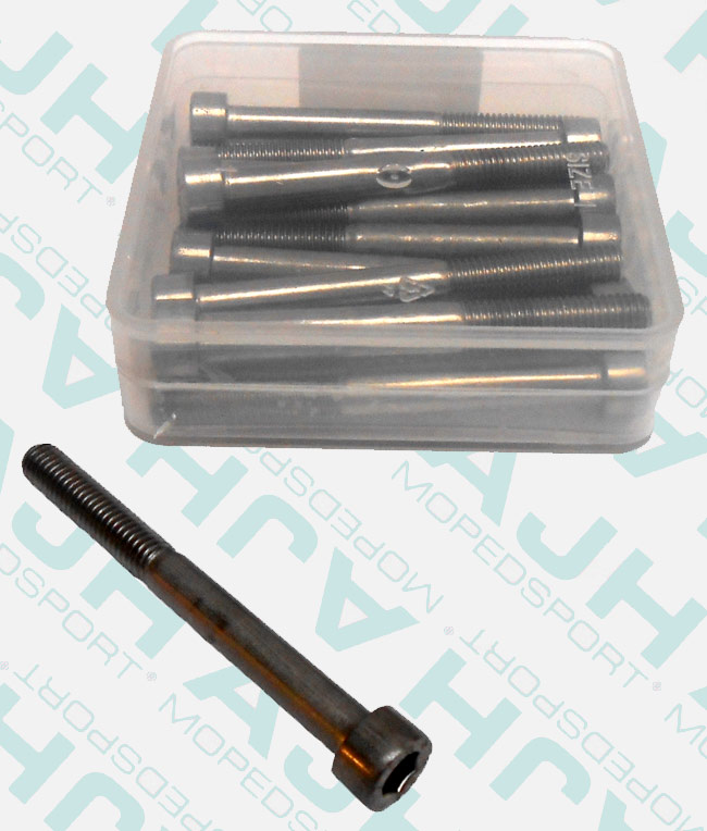 Inbusbouten M6 x 60mm RVS A2 DIN 912 set van 12 stuks
